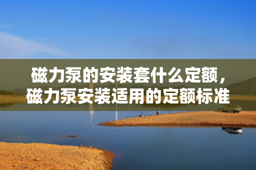 磁力泵的安装套什么定额，磁力泵安装适用的定额标准