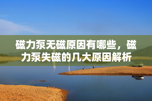 磁力泵无磁原因有哪些，磁力泵失磁的几大原因解析