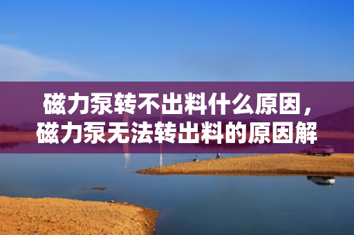 磁力泵转不出料什么原因，磁力泵无法转出料的原因解析