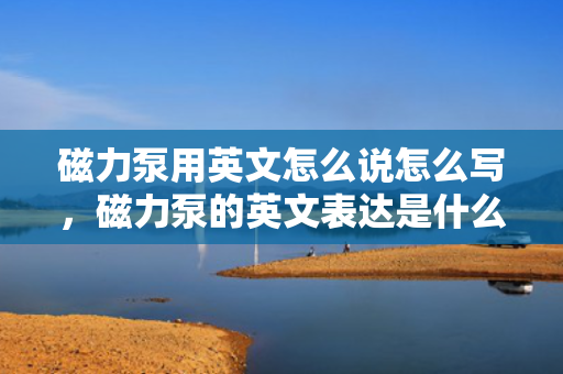 磁力泵用英文怎么说怎么写，磁力泵的英文表达是什么？