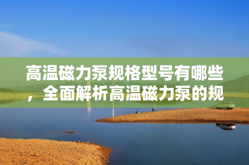 高温磁力泵规格型号有哪些，全面解析高温磁力泵的规格型号