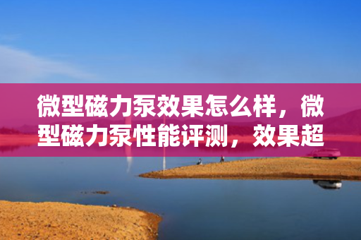 微型磁力泵效果怎么样，微型磁力泵性能评测，效果超乎想象