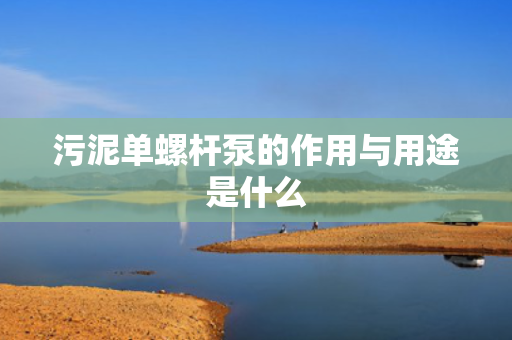 污泥单螺杆泵的作用与用途是什么