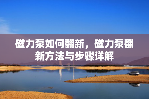 磁力泵如何翻新，磁力泵翻新方法与步骤详解