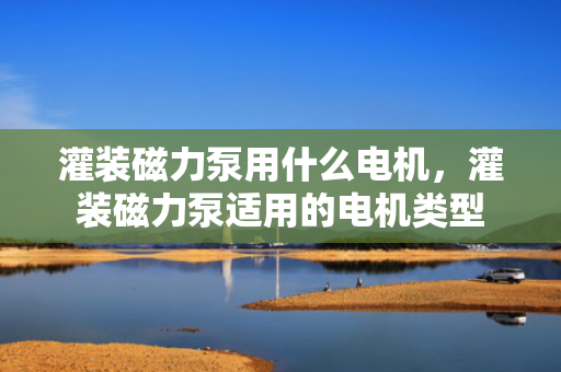 灌装磁力泵用什么电机，灌装磁力泵适用的电机类型