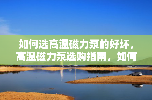 如何选高温磁力泵的好坏，高温磁力泵选购指南，如何辨别优劣