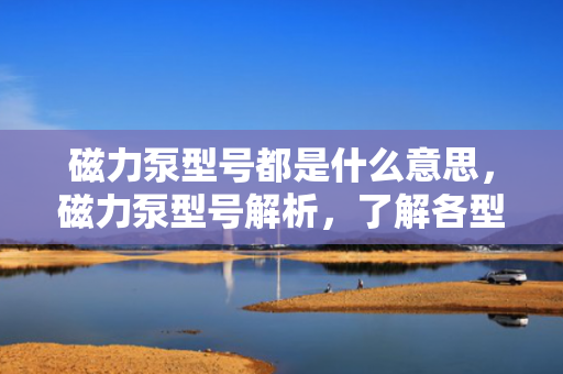 磁力泵型号都是什么意思，磁力泵型号解析，了解各型号代表的含义