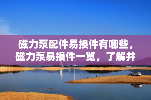 磁力泵配件易损件有哪些，磁力泵易损件一览，了解并维护您的磁力泵配件