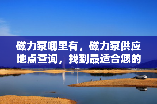 磁力泵哪里有，磁力泵供应地点查询，找到最适合您的磁力泵供应商