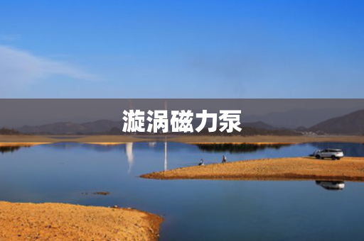 漩涡磁力泵