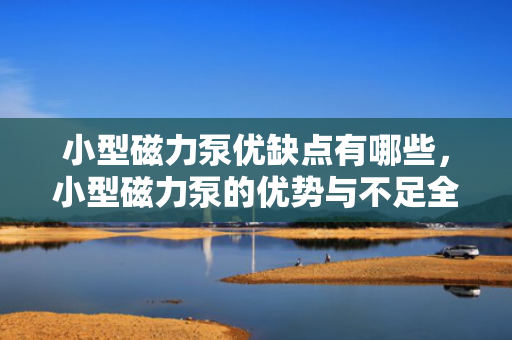 小型磁力泵优缺点有哪些，小型磁力泵的优势与不足全解析