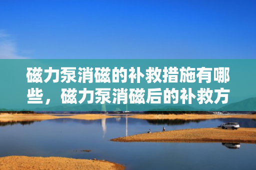 磁力泵消磁的补救措施有哪些，磁力泵消磁后的补救方法详解