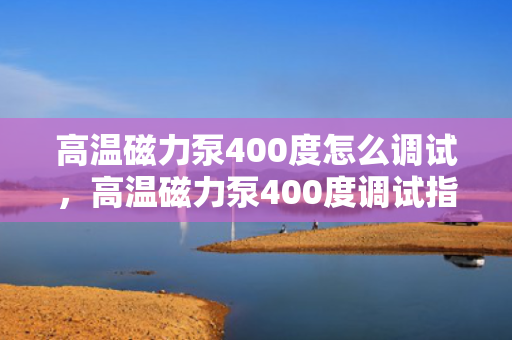 高温磁力泵400度怎么调试，高温磁力泵400度调试指南
