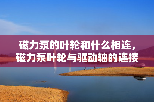 磁力泵的叶轮和什么相连，磁力泵叶轮与驱动轴的连接方式解析