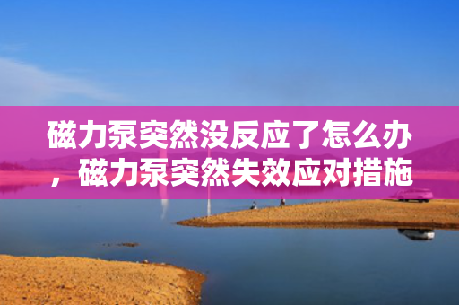 磁力泵突然没反应了怎么办，磁力泵突然失效应对措施