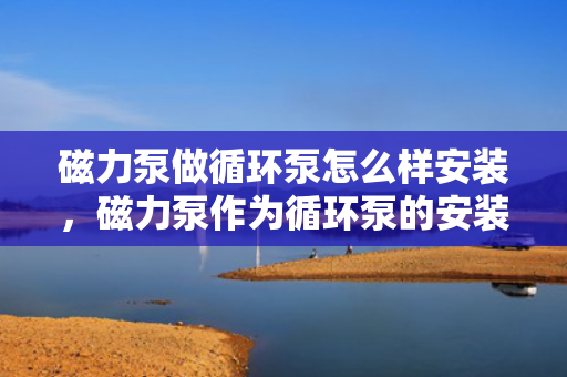 磁力泵做循环泵怎么样安装，磁力泵作为循环泵的安装指南