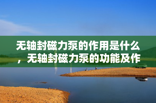 无轴封磁力泵的作用是什么，无轴封磁力泵的功能及作用解析