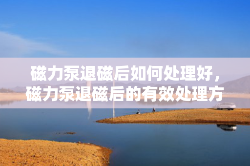 磁力泵退磁后如何处理好，磁力泵退磁后的有效处理方法
