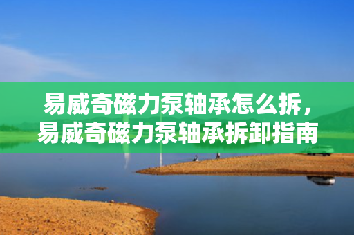 易威奇磁力泵轴承怎么拆，易威奇磁力泵轴承拆卸指南