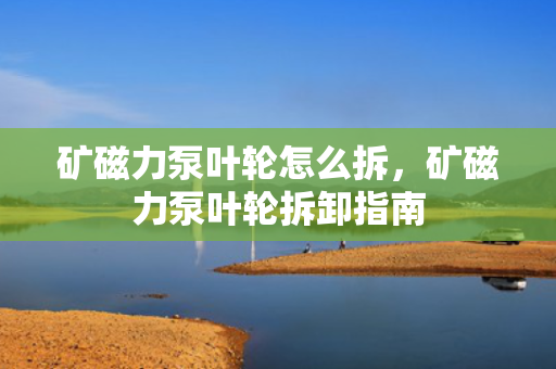 矿磁力泵叶轮怎么拆，矿磁力泵叶轮拆卸指南