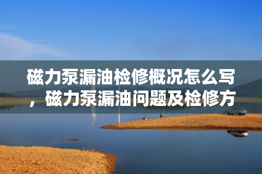 磁力泵漏油检修概况怎么写，磁力泵漏油问题及检修方法概述