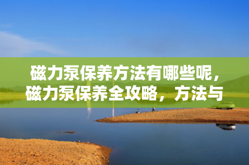 磁力泵保养方法有哪些呢，磁力泵保养全攻略，方法与步骤详解