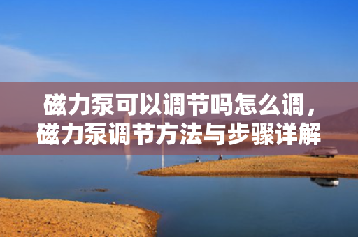 磁力泵可以调节吗怎么调，磁力泵调节方法与步骤详解