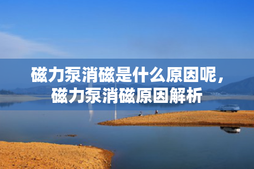 磁力泵消磁是什么原因呢，磁力泵消磁原因解析