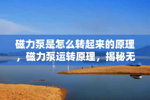 磁力泵是怎么转起来的原理，磁力泵运转原理，揭秘无接触动力传输的奥秘