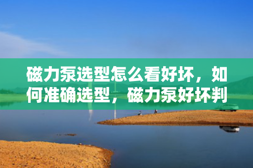 磁力泵选型怎么看好坏，如何准确选型，磁力泵好坏判断指南