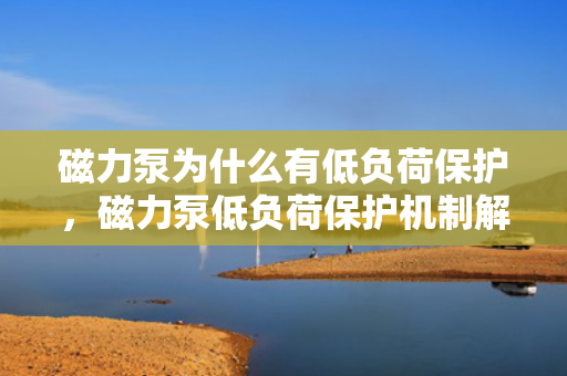 磁力泵为什么有低负荷保护，磁力泵低负荷保护机制解析