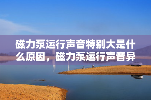 磁力泵运行声音特别大是什么原因，磁力泵运行声音异常增大的原因解析