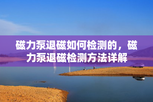 磁力泵退磁如何检测的，磁力泵退磁检测方法详解