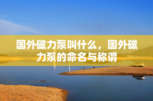 国外磁力泵叫什么，国外磁力泵的命名与称谓