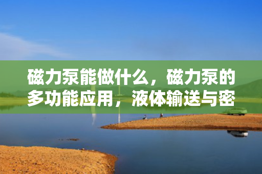 磁力泵能做什么，磁力泵的多功能应用，液体输送与密封无泄漏的完美结合