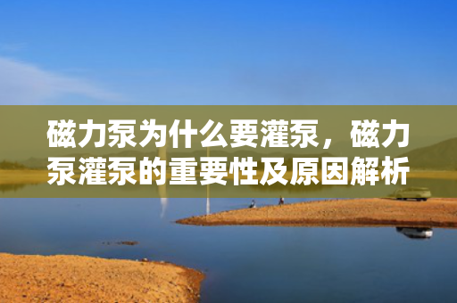 磁力泵为什么要灌泵，磁力泵灌泵的重要性及原因解析