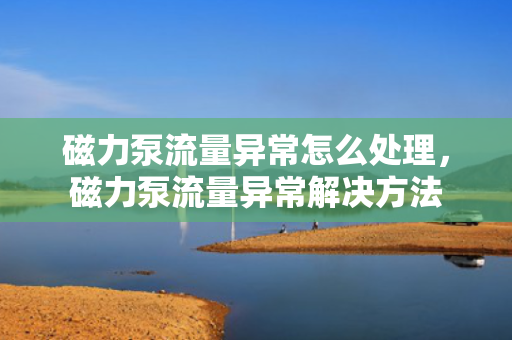 磁力泵流量异常怎么处理，磁力泵流量异常解决方法
