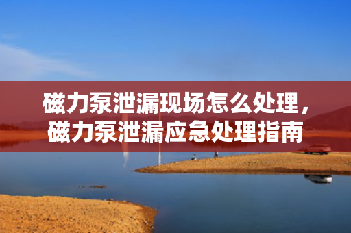 磁力泵泄漏现场怎么处理，磁力泵泄漏应急处理指南