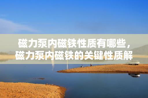 磁力泵内磁铁性质有哪些，磁力泵内磁铁的关键性质解析