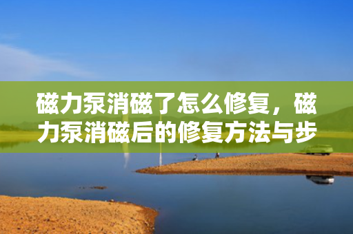 磁力泵消磁了怎么修复，磁力泵消磁后的修复方法与步骤