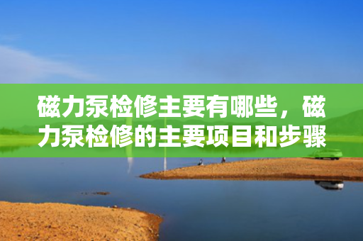 磁力泵检修主要有哪些，磁力泵检修的主要项目和步骤