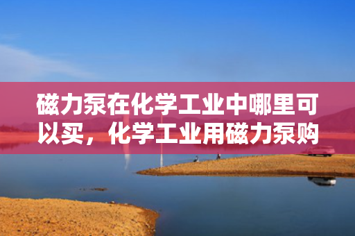 磁力泵在化学工业中哪里可以买，化学工业用磁力泵购买指南，哪里可以获取高质量设备