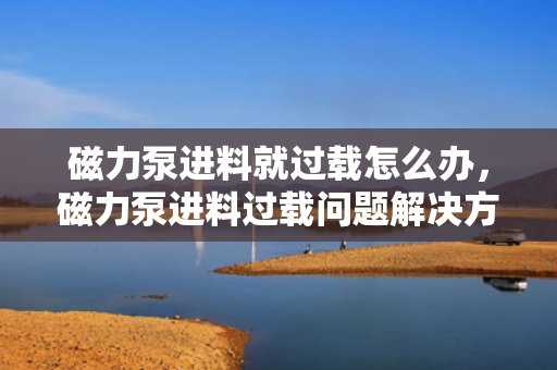 磁力泵进料就过载怎么办，磁力泵进料过载问题解决方案
