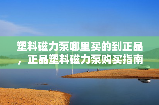 塑料磁力泵哪里买的到正品，正品塑料磁力泵购买指南，找到可信赖的购买渠道