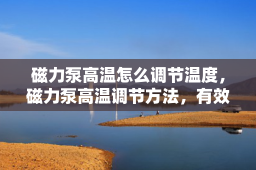 磁力泵高温怎么调节温度，磁力泵高温调节方法，有效控制温度的技巧