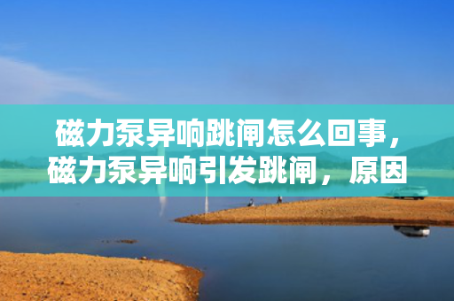磁力泵异响跳闸怎么回事，磁力泵异响引发跳闸，原因及解决方案
