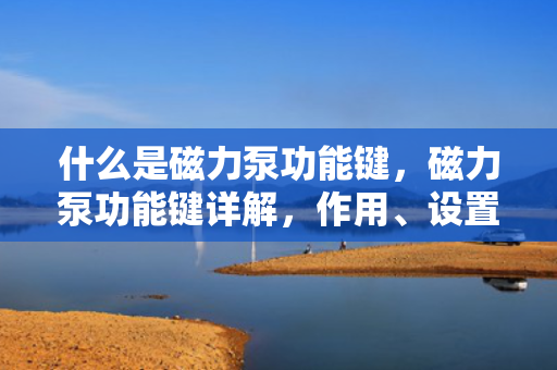 什么是磁力泵功能键，磁力泵功能键详解，作用、设置与操作指南