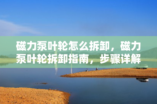 磁力泵叶轮怎么拆卸，磁力泵叶轮拆卸指南，步骤详解与注意事项