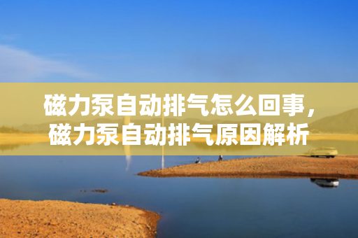 磁力泵自动排气怎么回事，磁力泵自动排气原因解析