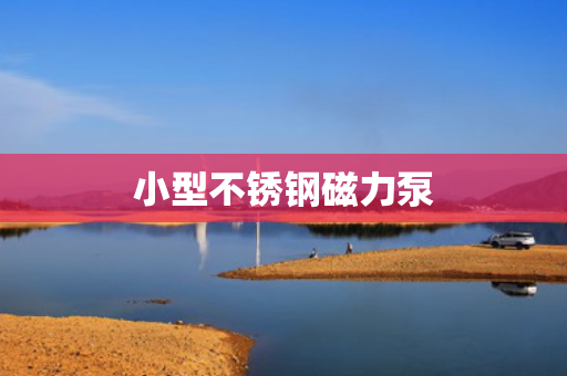 小型不锈钢磁力泵